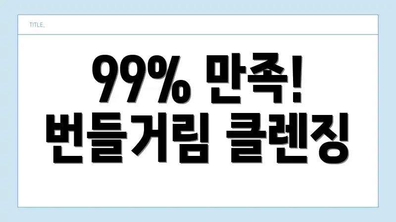 99% 만족! 번들거림 클렌징